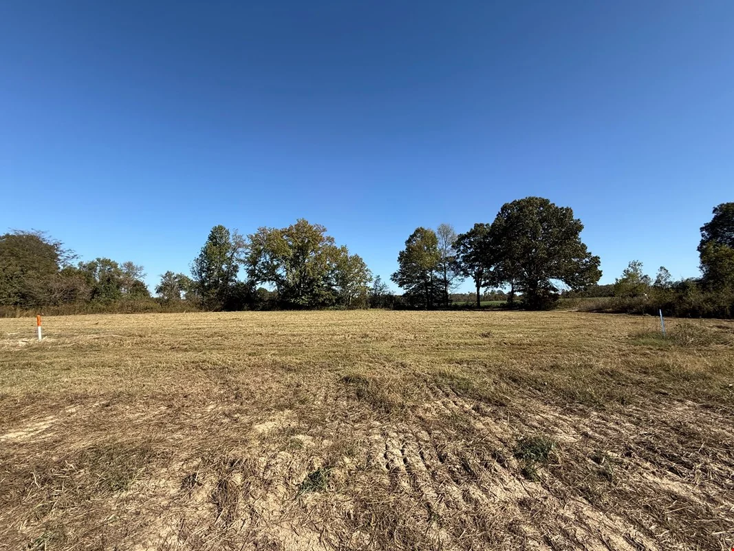 0 Hwy 222 - 1.24 Acres - Across from Ford Blue Oval — Sale in Stanton, TN, photo 6 of 8
