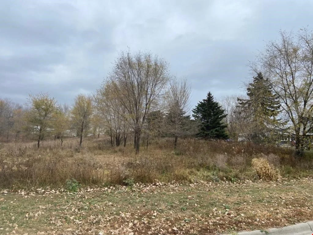 XX 65th St E — Sale in Inver Grove Heights, MN, photo 3 of 7