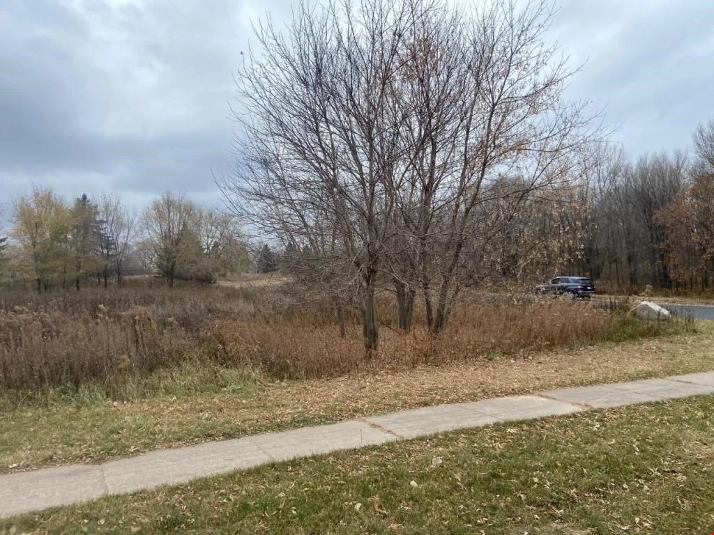 XX 65th St E — Sale in Inver Grove Heights, MN, photo 4 of 7