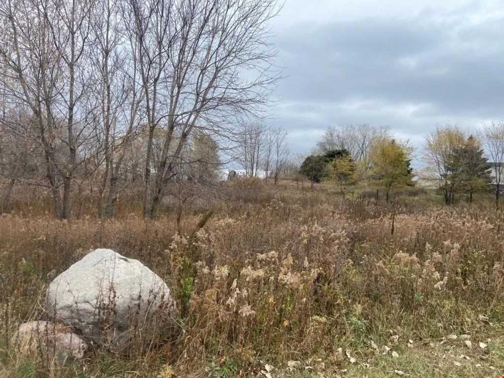 XX 65th St E — Sale in Inver Grove Heights, MN, photo 5 of 7