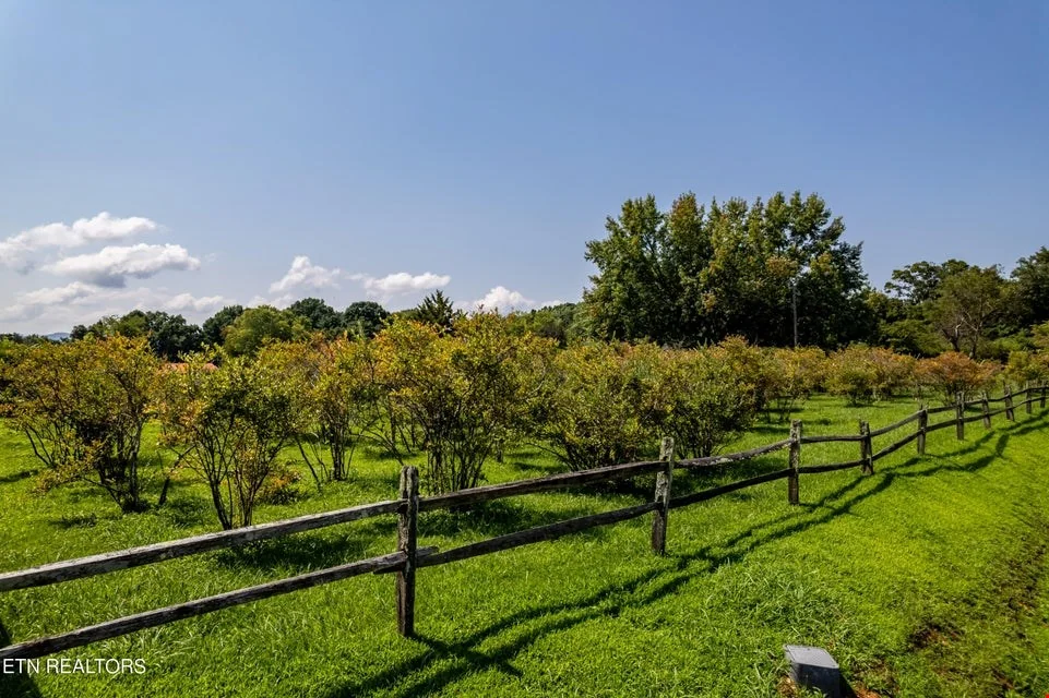Prime Income-Producing Blueberry Farm & Residence — Sale in Maryville, TN, photo 3 of 8