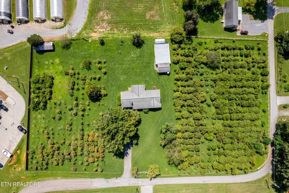 Prime Income-Producing Blueberry Farm & Residence — Sale in Maryville, TN, photo 5 of 8