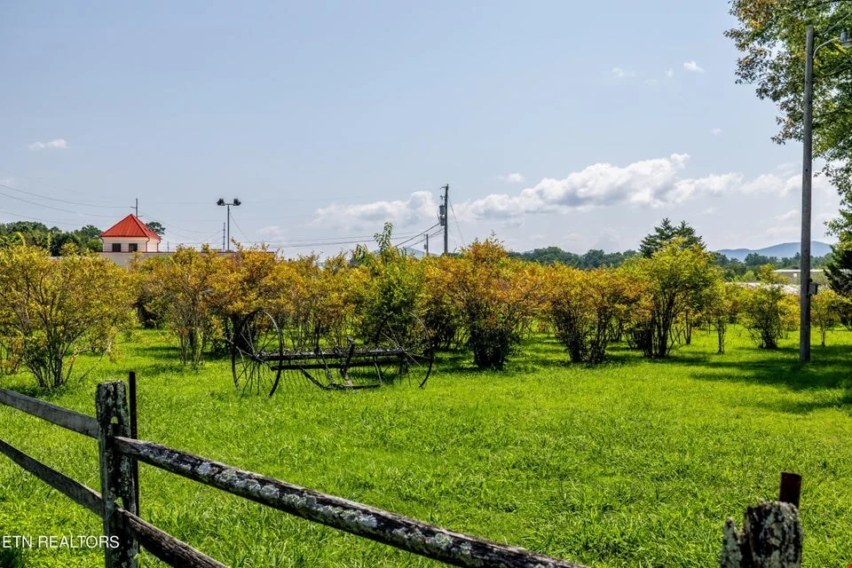 Prime Income-Producing Blueberry Farm & Residence — Sale in Maryville, TN, photo 7 of 8