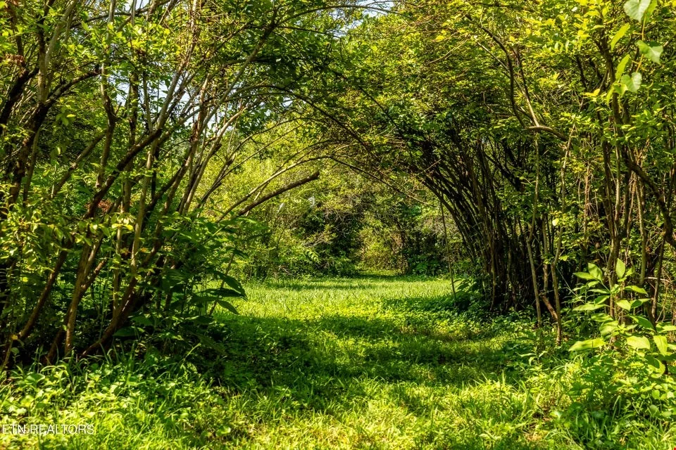 Prime Income-Producing Blueberry Farm & Residence — Sale in Maryville, TN, photo 8 of 8