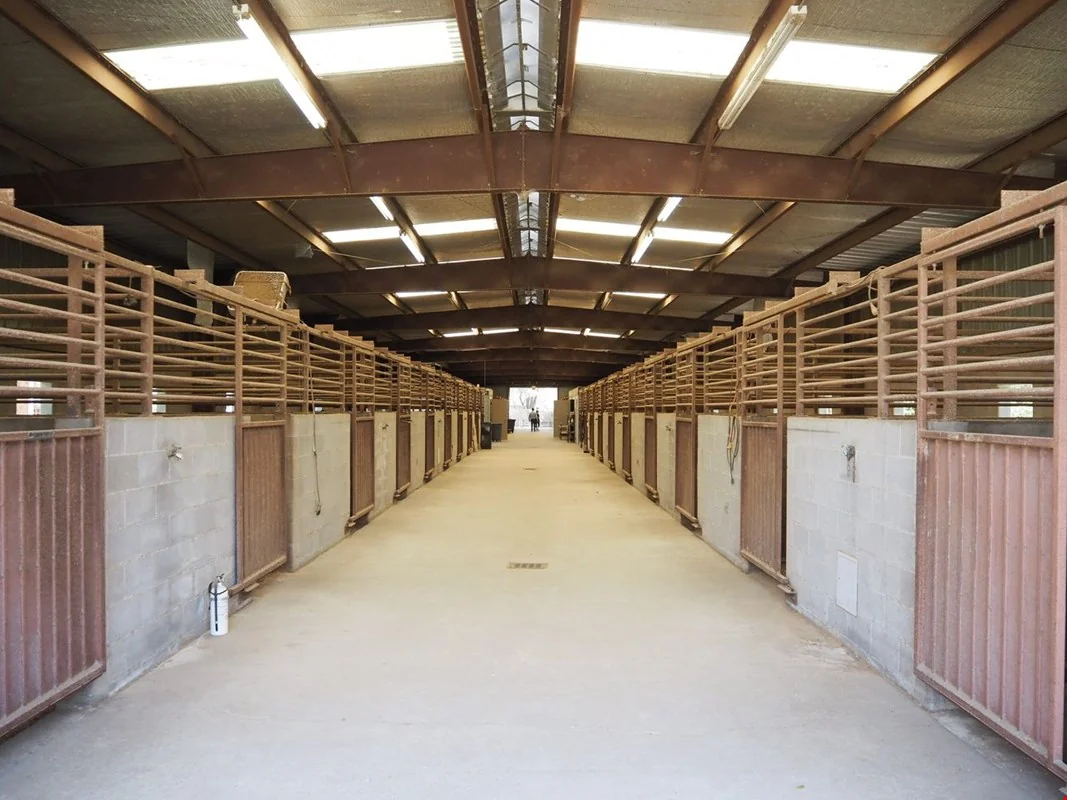 Magnolia Equestrian Center — Sale in New Orleans, LA, photo 3 of 8