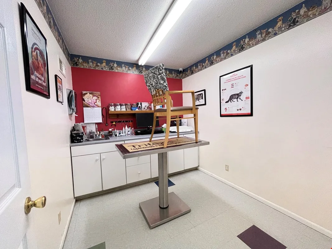 1305-1307 Black Street — Sale in Pekin, IL, photo 5 of 8