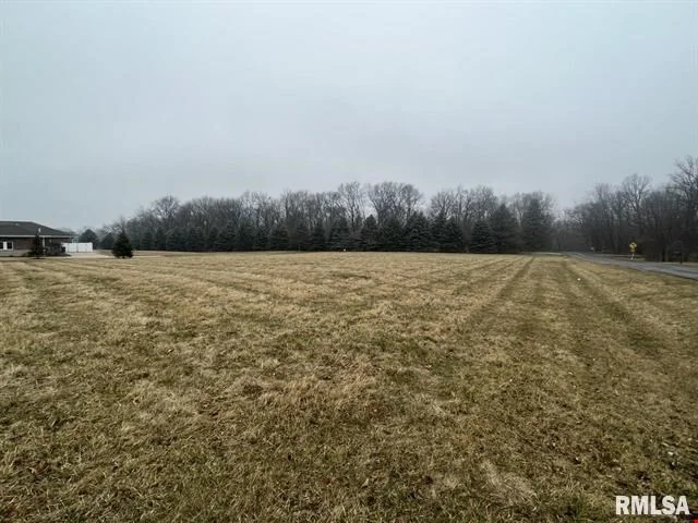 Eastgate Drive — Sale in Washington, IL, photo 5 of 6