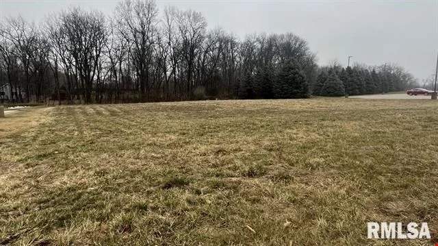 Eastgate Drive — Sale in East Peoria, IL, photo 3 of 6