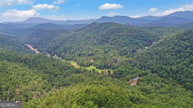 1760 Rickman Airfield Rd — Sale in Clayton, GA, photo 5 of 8