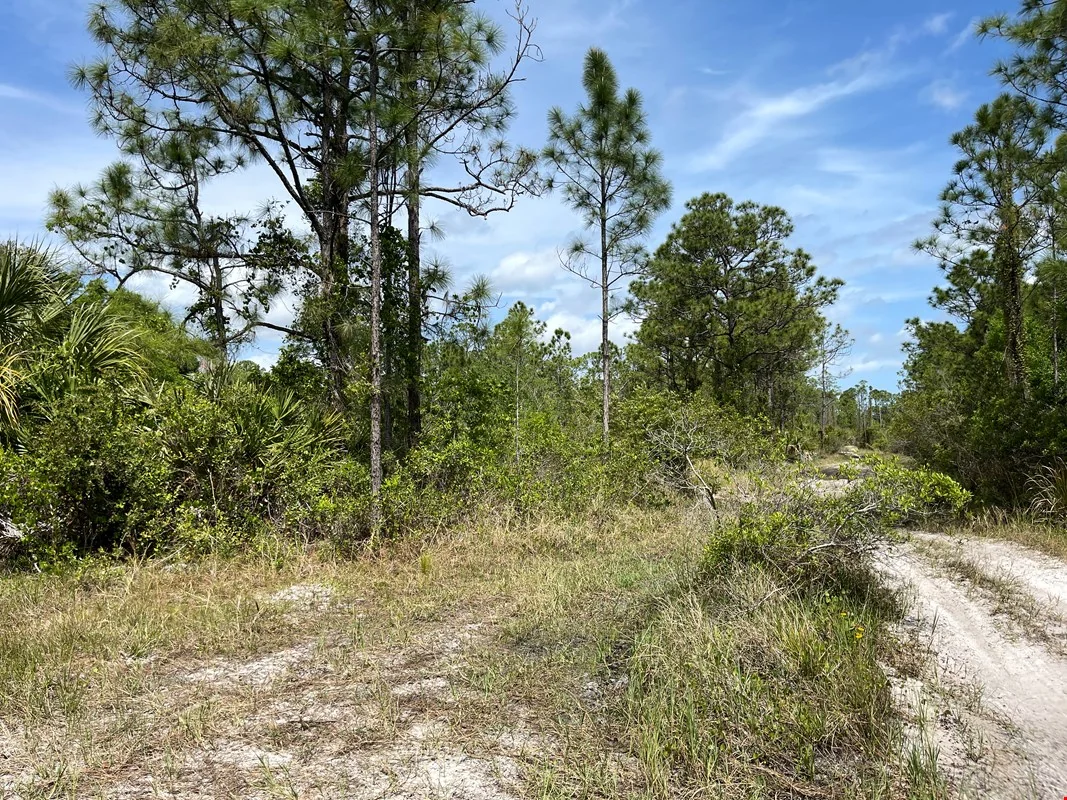 9425 105th Ave — Sale in Vero Beach, FL, photo 8 of 8