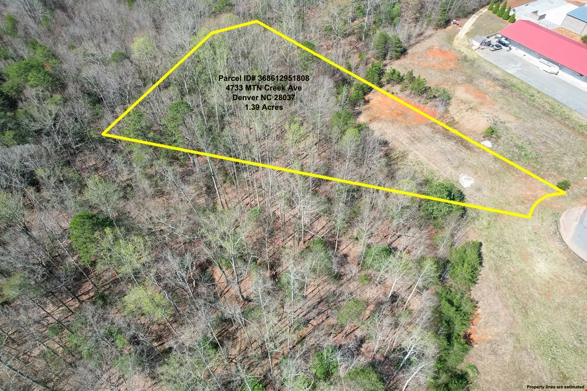 4733 Mountain Creek Ave — Sale in Denver, NC, photo 2 of 8