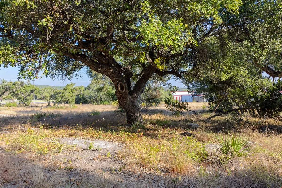 5 Acres - 5324 US Hwy 281 N — Sale in Spring Branch, TX, photo 4 of 8