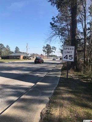 11 Acres - US 501, Aynor, SC — Lease in Aynor, SC, photo 2 of 8