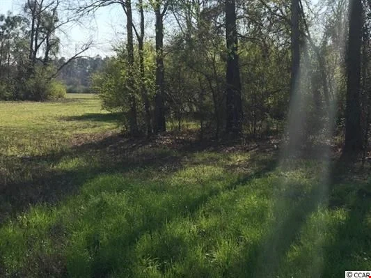 11 Acres - US 501, Aynor, SC — Lease in Aynor, SC, photo 4 of 8