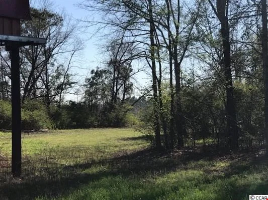 11 Acres - US 501, Aynor, SC — Lease in Aynor, SC, photo 8 of 8
