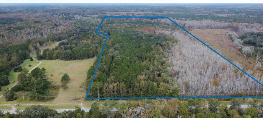 1931 South Coastal Highway - land for sale in Riceboro, GA