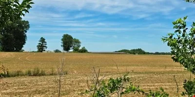 64.2 AC - Shands Bottom Road, Senatobia, MS - industrial for sale in senatobia, MS