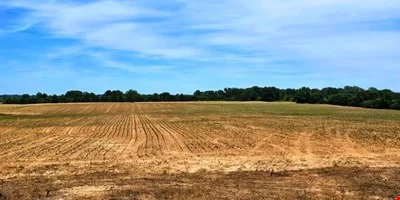 64.2 AC - Shands Bottom Road, Senatobia, MS — Sale in Senatobia, MS, photo 2 of 3