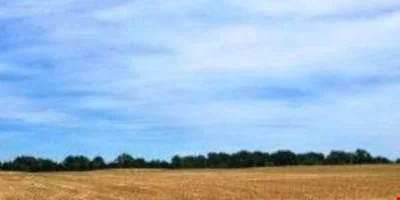 64.2 AC - Shands Bottom Road, Senatobia, MS — Sale in Senatobia, MS, photo 3 of 3