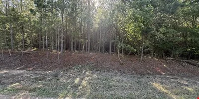 15 Acres in Pansey, AL Pines & Privicy - other for sale in pansey, AL