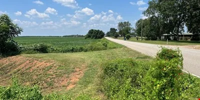 226 +/- Acre Investment Opportunity - other for sale in brewton, AL