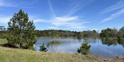 28 ± Acre Patterson Road Tract - other for sale in dothan, AL