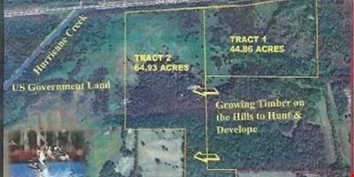 Hunting and Timber - Hwy 304 109.7 +/- AC — Sale in Hernando, MS, photo 3 of 3