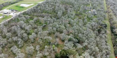 70.8 Acres in Richmond Texas — Sale in Richmond, TX, photo 6 of 8