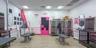 Business Opportunity:Woof Gang Bakery & Dog Grooming — Sale in Tallahassee, FL, photo 6 of 8