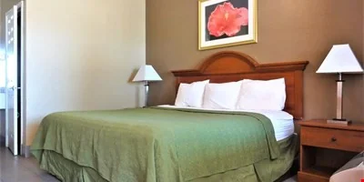 La Copa Inn — Sale in Mcallen, TX, photo 5 of 8