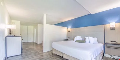 Soho Inn International Speedway/I-95/Daytona Beach — Sale in Daytona Beach, FL, photo 8 of 8