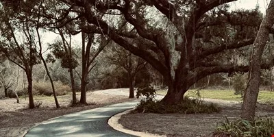 Executive Homesite - 4.19 Acres, Florida — Sale in Palm Harbor, FL, photo 1 of 8
