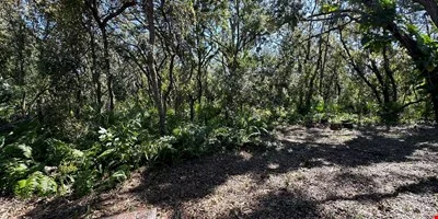 Executive Homesite - 4.19 Acres, Florida — Sale in Palm Harbor, FL, photo 7 of 8