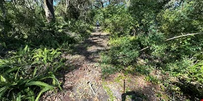Executive Homesite - 4.19 Acres, Florida — Sale in Palm Harbor, FL, photo 8 of 8