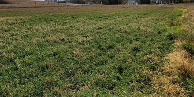 Pepper Property — Sale in Mankato, MN, photo 7 of 8