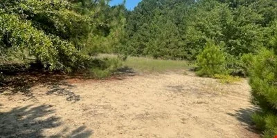 60 Acres in Edgecombe County — Sale in Tarboro, NC, photo 5 of 8