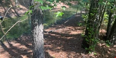 60 Acres in Edgecombe County — Sale in Tarboro, NC, photo 3 of 8