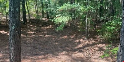 60 Acres in Edgecombe County — Sale in Tarboro, NC, photo 4 of 8
