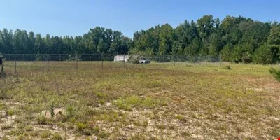 60 Acres in Edgecombe County — Sale in Tarboro, NC, photo 6 of 8