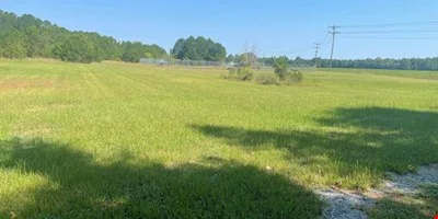60 Acres in Edgecombe County — Sale in Tarboro, NC, photo 8 of 8
