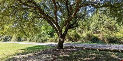 30405 Dobbin Huffsmith Road, Magnolia — Sale in Magnolia, TX, photo 6 of 8