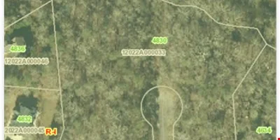 Gainesville Land — Sale in Gainesville, GA, photo 5 of 8