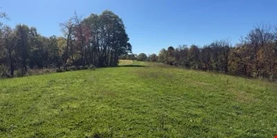 56 +/- Acres - other for sale in independence, KY