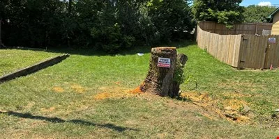 Cuzick - other for sale in walton, KY