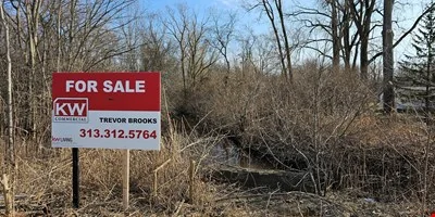 Ecorse Road Acreage — Sale in Belleville, MI, photo 1 of 3