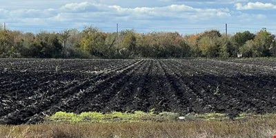 0 SWC Fm 762/Crabb River Rd SH-99 Grand Pkwy… — Sale in Richmond, TX, photo 8 of 8