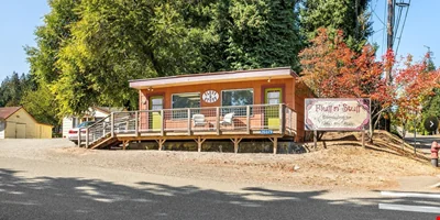 3 parcels - 4 buildings - C-2 Zoning - Poulsbo — Sale in Poulsbo, WA, photo 3 of 8