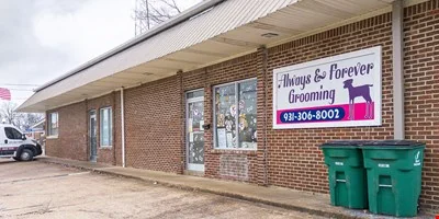 200 W Linden Ave — Sale in Hohenwald, TN, photo 6 of 8