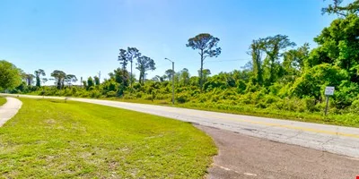 0 Big Tree — Sale in Daytona Beach, FL, photo 3 of 8
