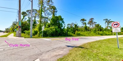0 Big Tree — Sale in Daytona Beach, FL, photo 5 of 8